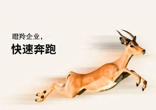 喜報！廣州研恒入選廣州市“瞪羚企業”